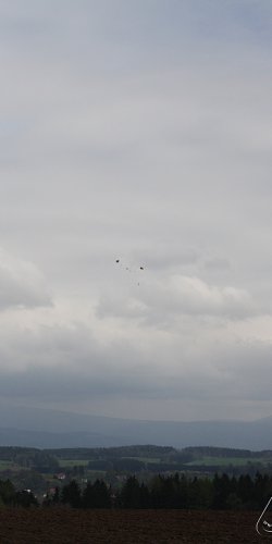 2013 Svojek Mirek Topinka